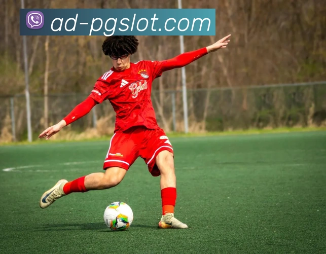 PG电子官网APP 封面图